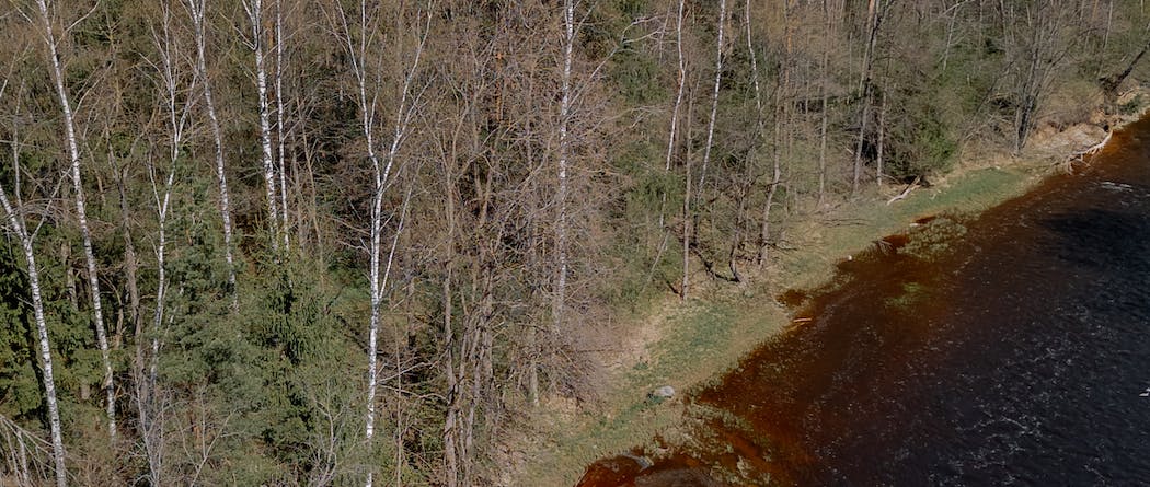 Woods and water